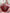 Quilted Tote Bags