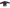 Embroidery Jacket