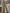 Women Robe Velvet Ikat Print Kimono Robes, Morning Tea Velvet Coat Artofakind