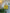 Yellow Quilted Tote Bag