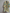 Women’s Velvet Ikat Print Kimono Robe Green 